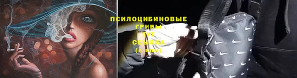 мдпв Саяногорск