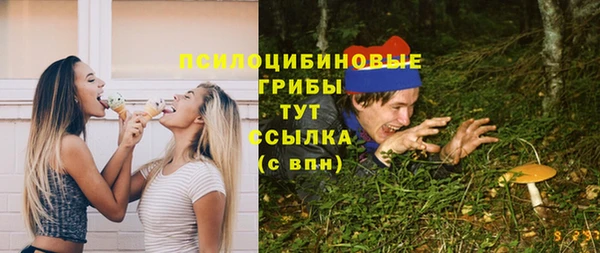 2c-b Алексеевка