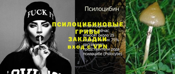 прущий лед Сатка